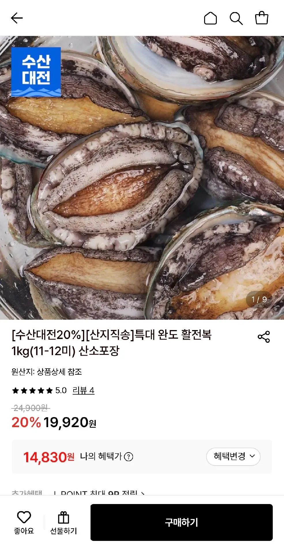 완도 활전복 1kg (11-12미) 특대