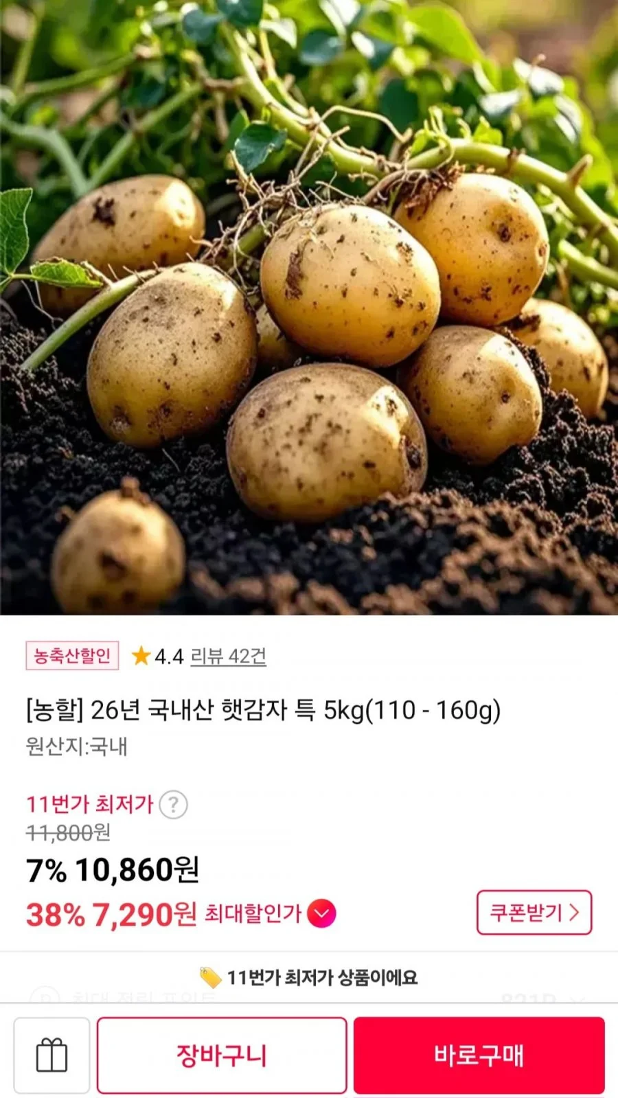 국내산 햇감자 특 5kg (110-160g)