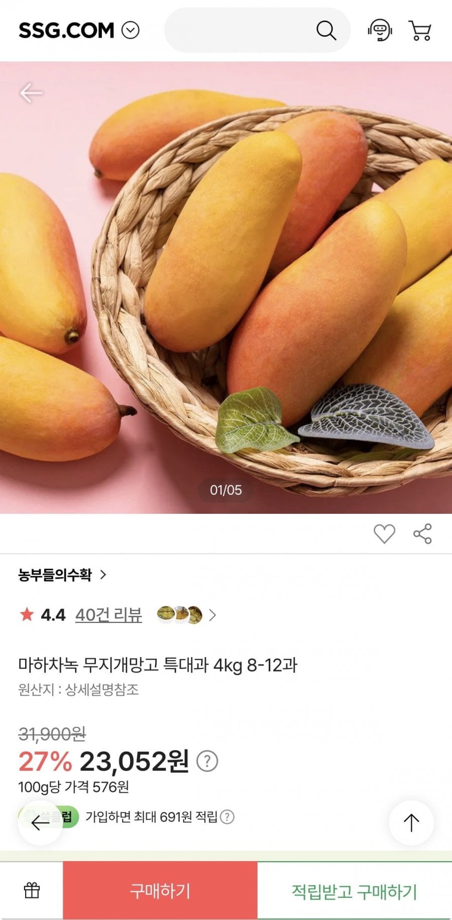 마하차녹 무지개망고 특대과 4kg 8-12과