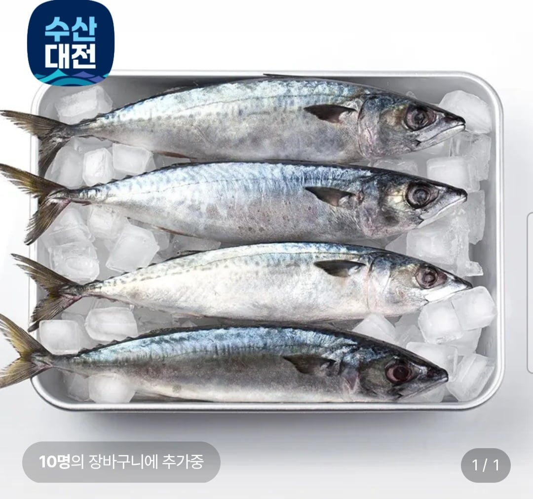 국내산 부산 자반 손질 특대 고등어 10미 3.5kg 내외