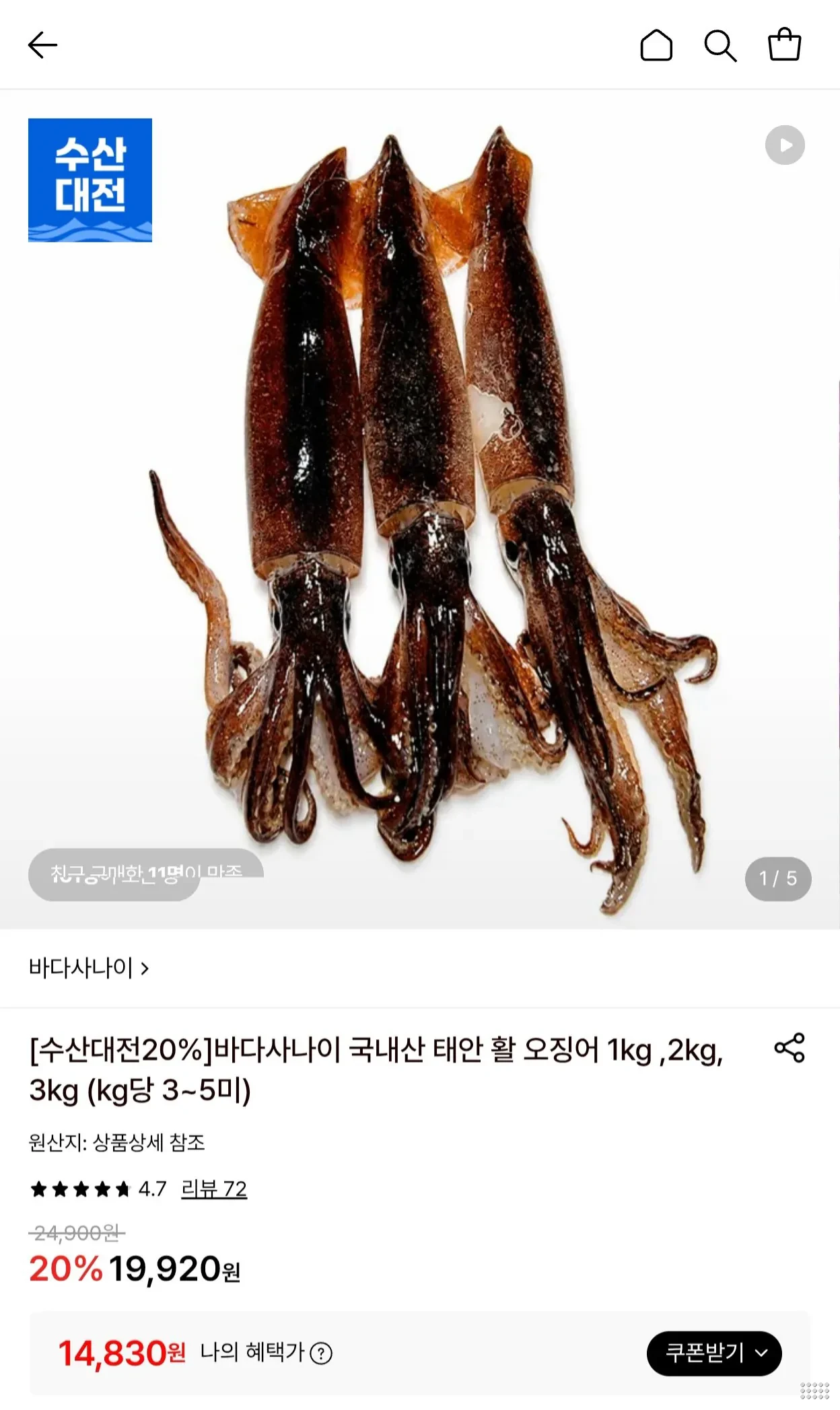 국내산 태안 활 오징어 1kg (3~5미)