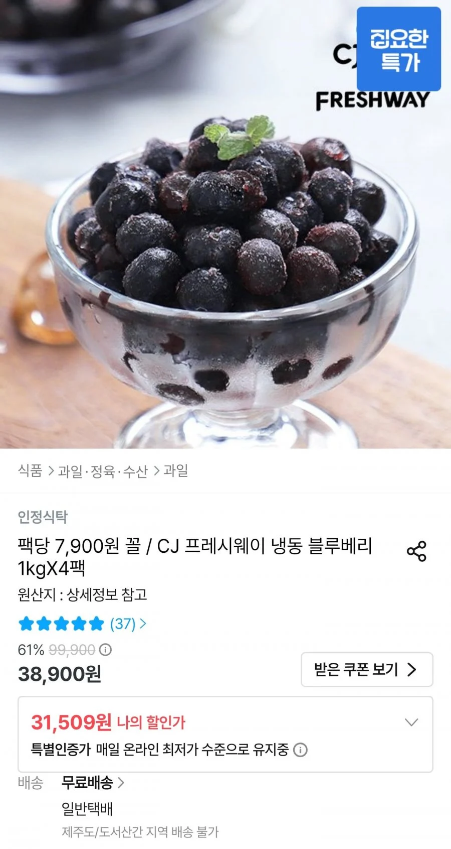 냉동 블루베리 1kg 4팩
