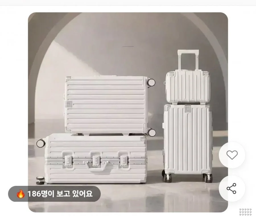 폴리카보네이트 TSA 캐리어 20인치