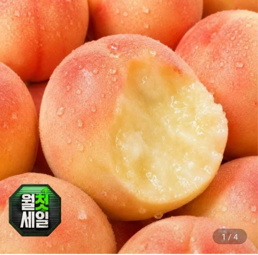 딱딱이 백도 복숭아 중대과2kg