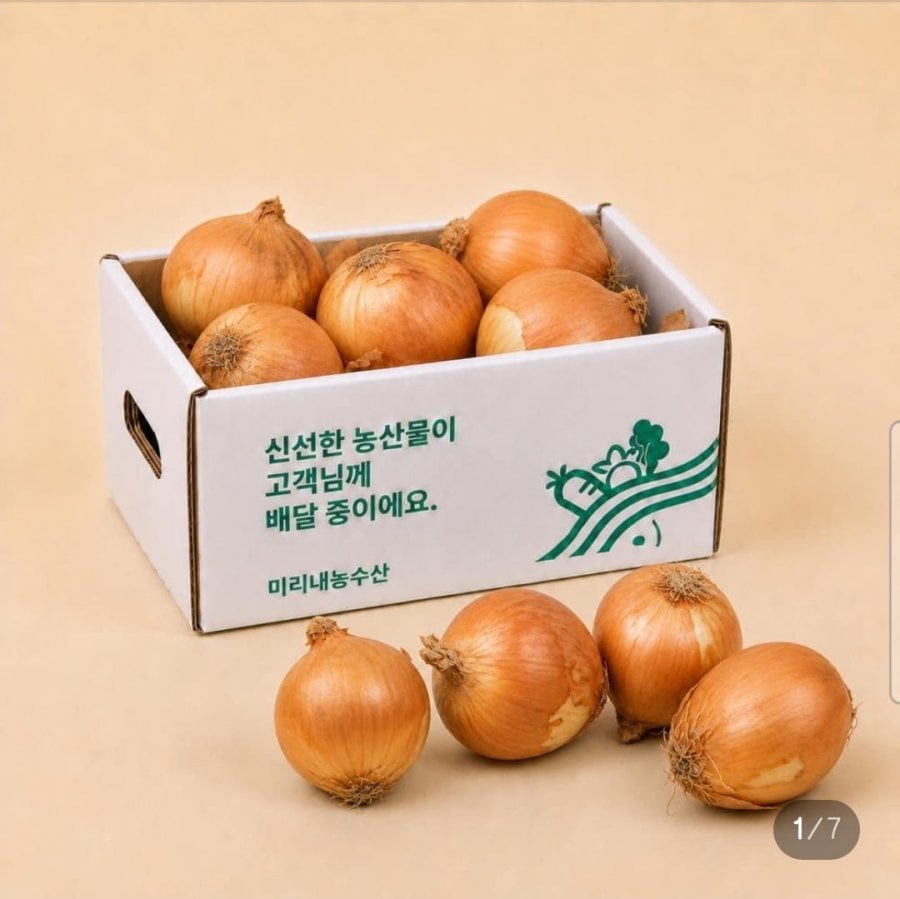 미리내농수산 국내산 햇양파 3kg 상