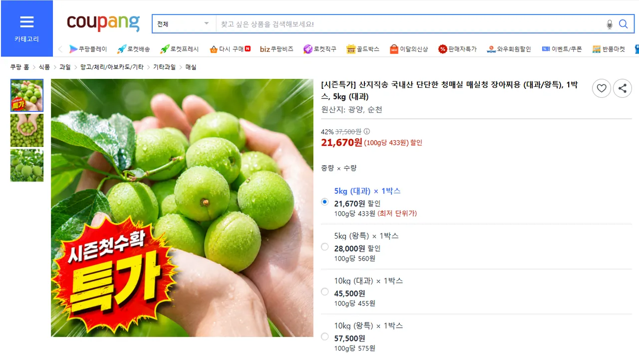 국내산 청매실 시즌첫수확 특가