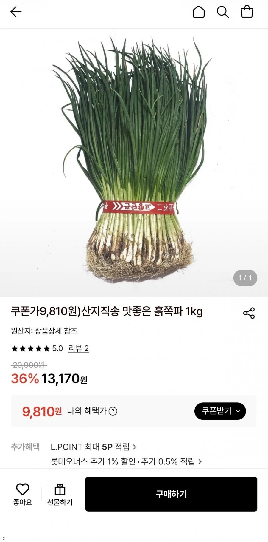 산지직송 맛좋은 흙쪽파 1kg