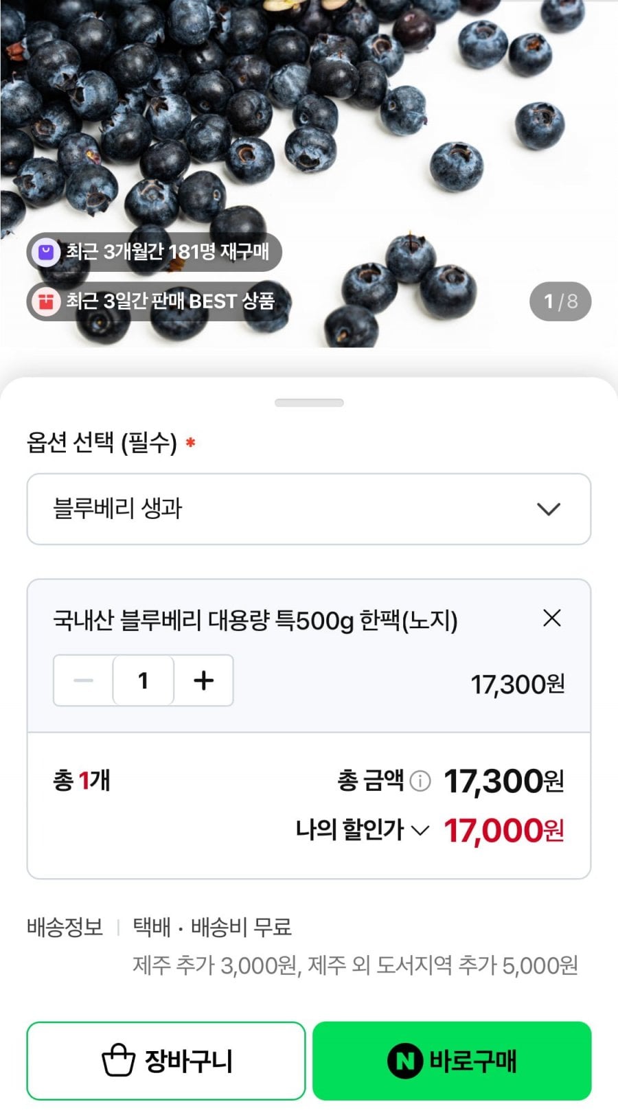 국산 블루베리 생과 특 500g