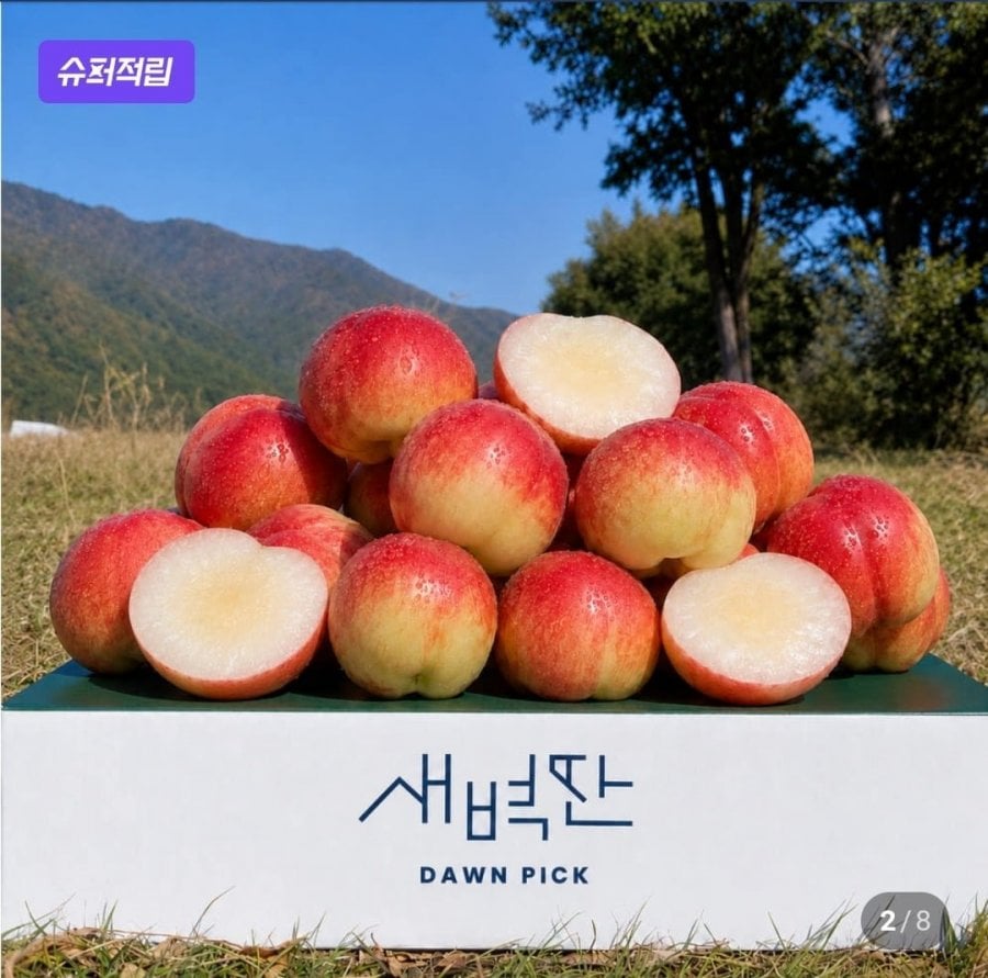 신비복숭아 천도복숭아 1Kg 중소과