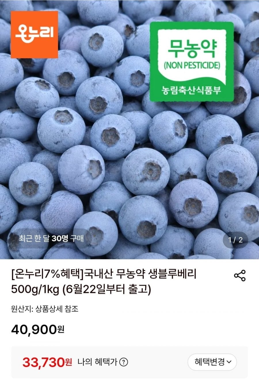 국내산 무농약 생블루베리 1kg