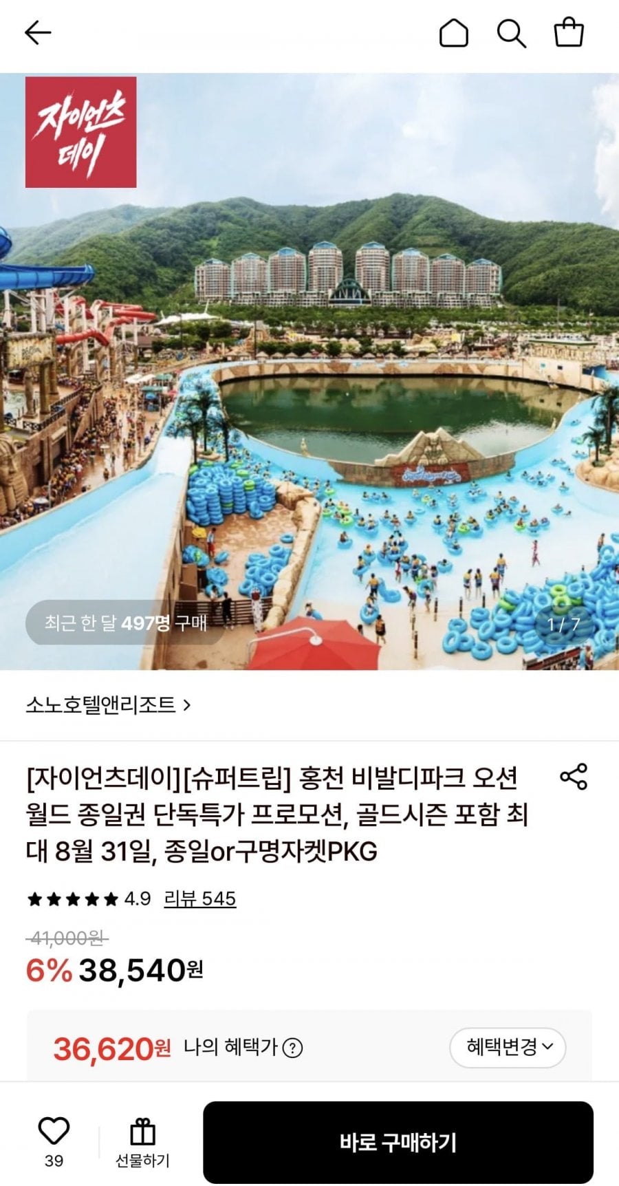 홍천 비발디파크 오션월드 대인 종일권