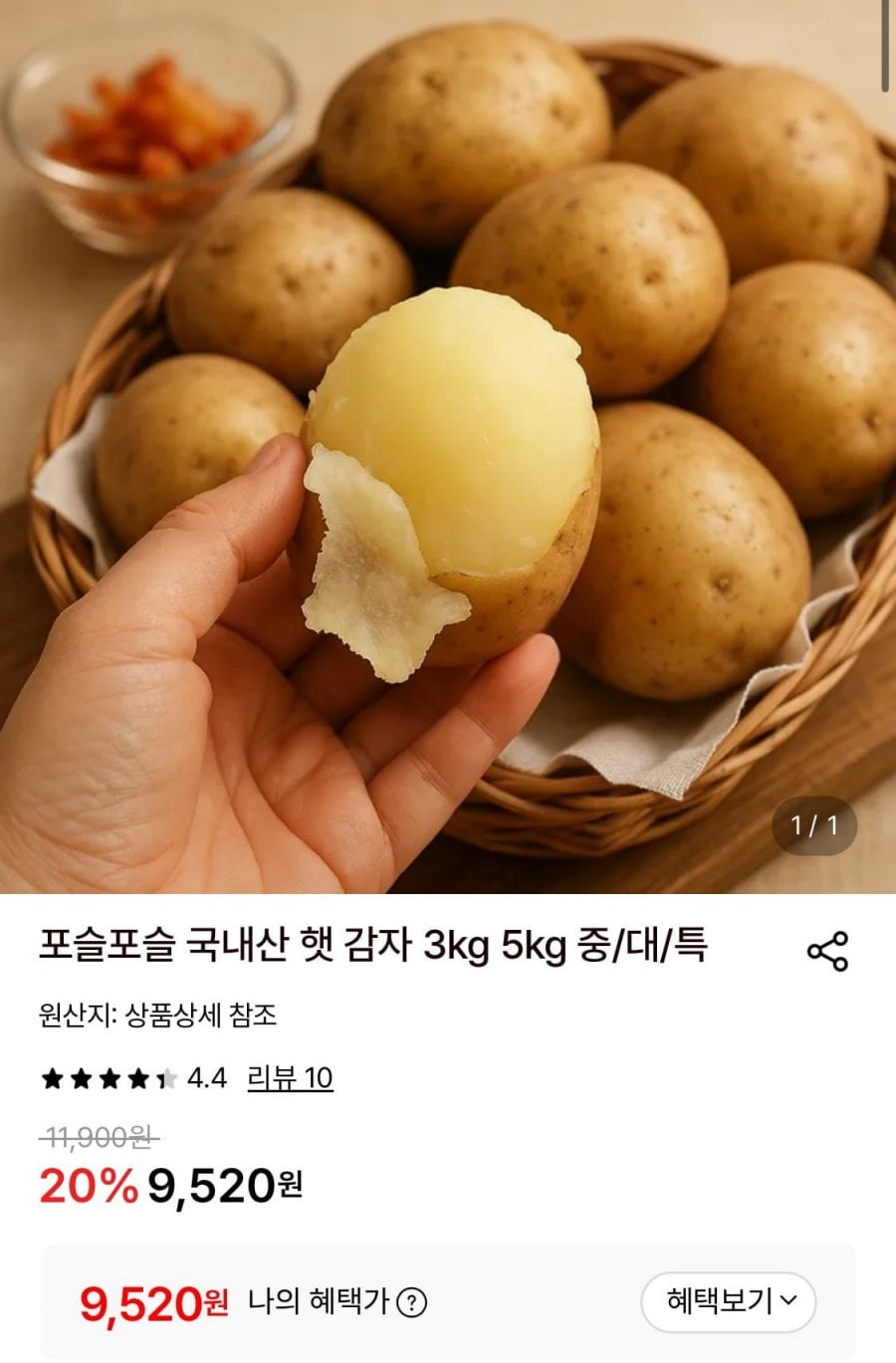 국내산 햇 감자 5kg 대