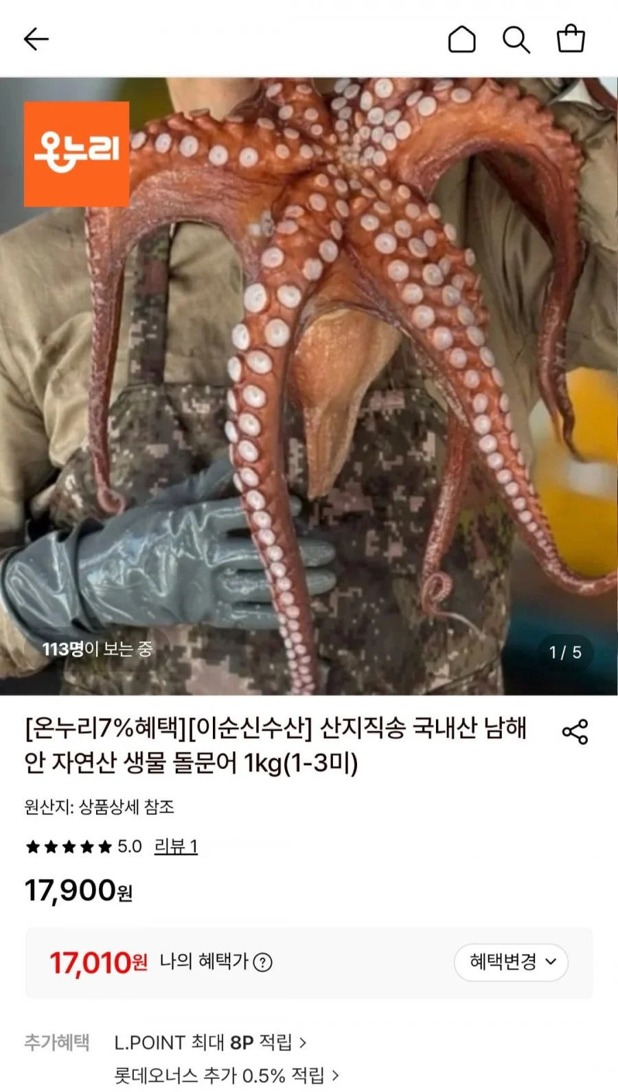 산지직송 국내산 남해안 자연산 생물 돌문어 1kg(1-3미)