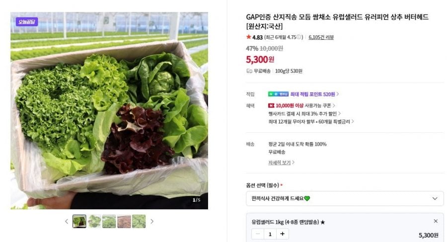 GAP인증 산지직송 모듬 쌈채소 유럽샐러드 유럽피언 상추 버터헤드 1kg
