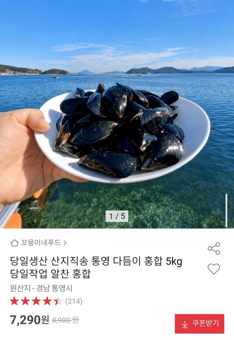 당일생산 산지직송 통영 다듬이 홍합 5kg