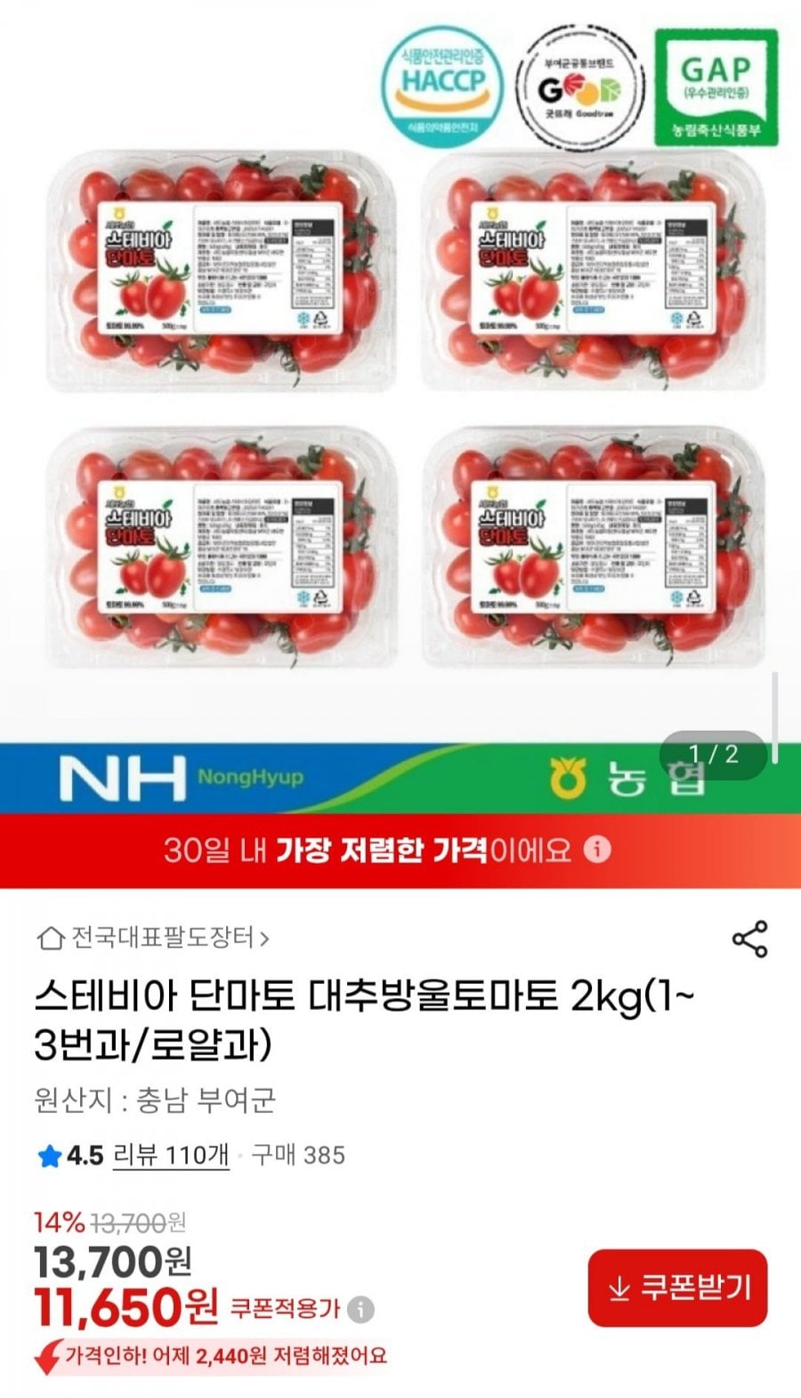 스테비아 단마토 대추방울토마토 2kg(1~3번과/로얄과)
