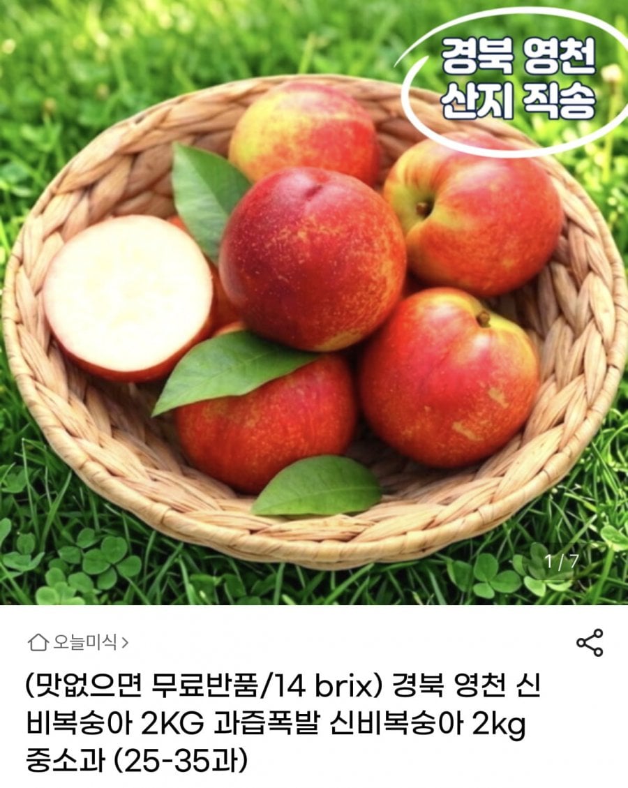 신비복숭아 중소과 2kg 25~35과