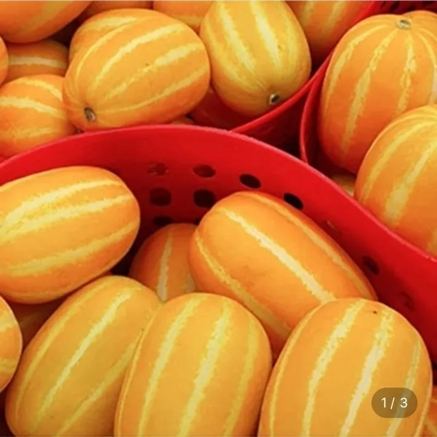 성주 꿀 참외 가정용 혼합과 실중량10kg