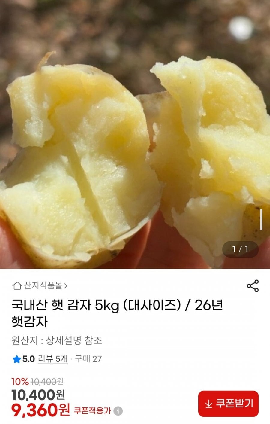 국내산 햇 감자 5kg (대사이즈)