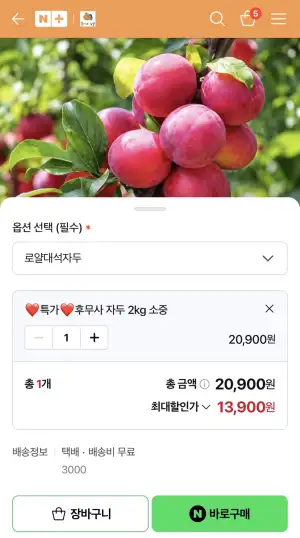 후무사 자두 2KG 중소과