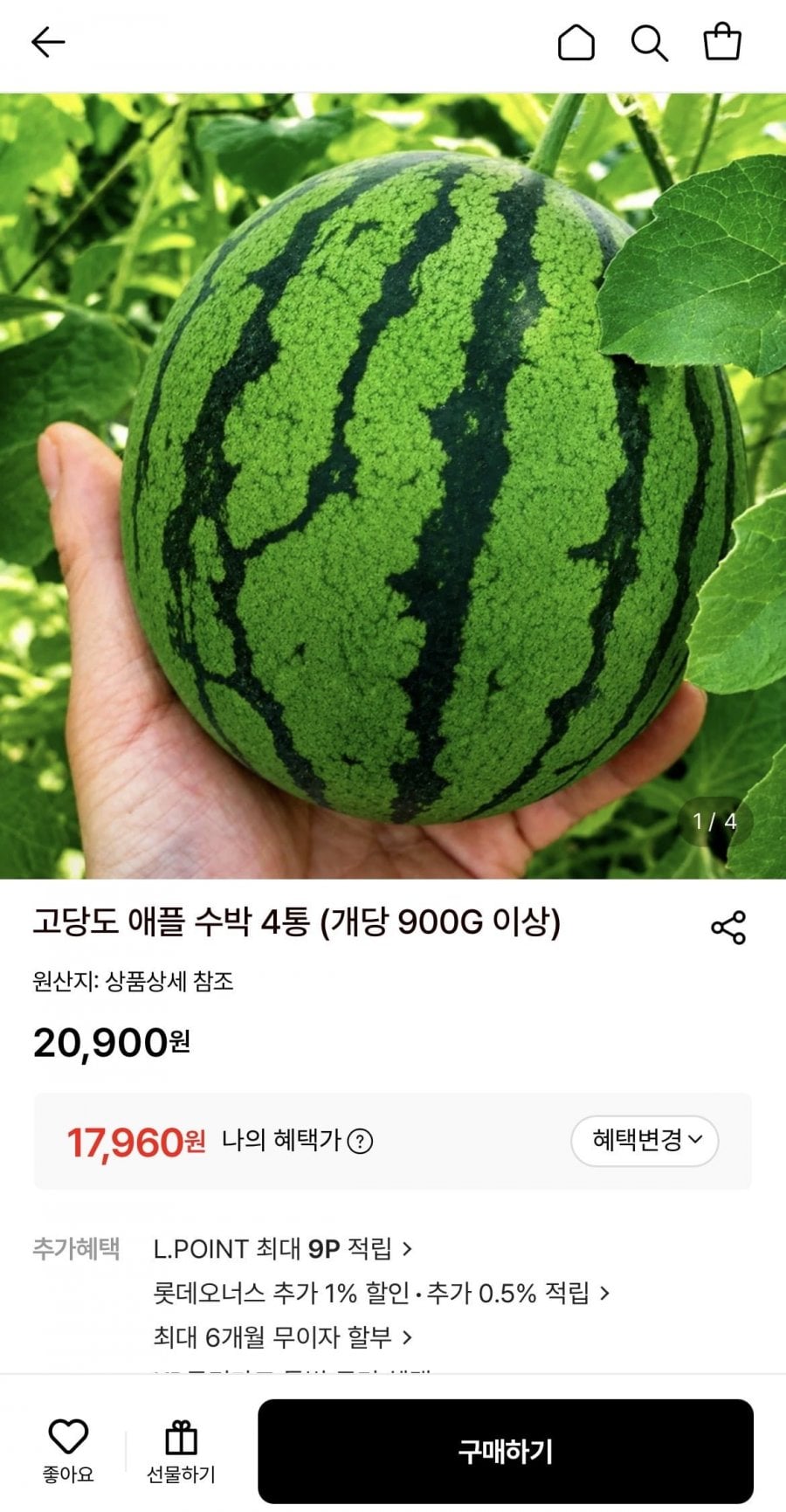 고당도 애플 수박 4통 (개당 900g이상)
