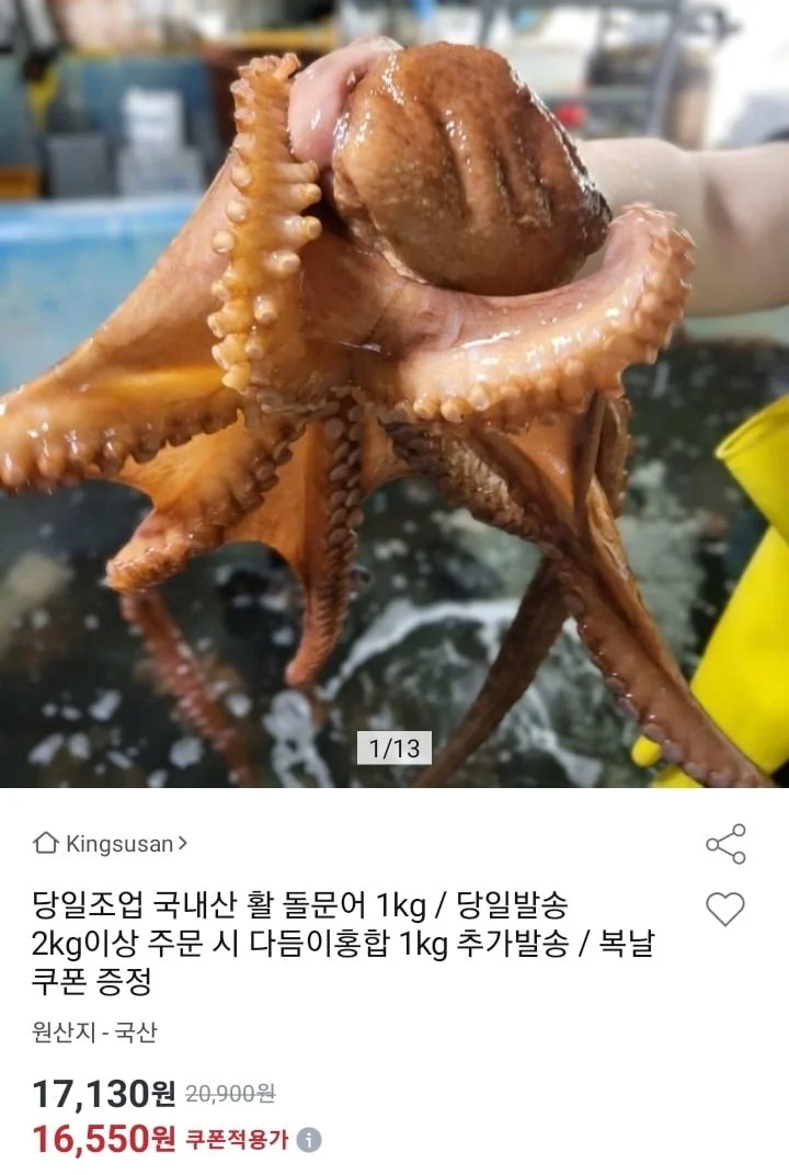 당일조업 국내산 활 돌문어 1kg 1-3미
