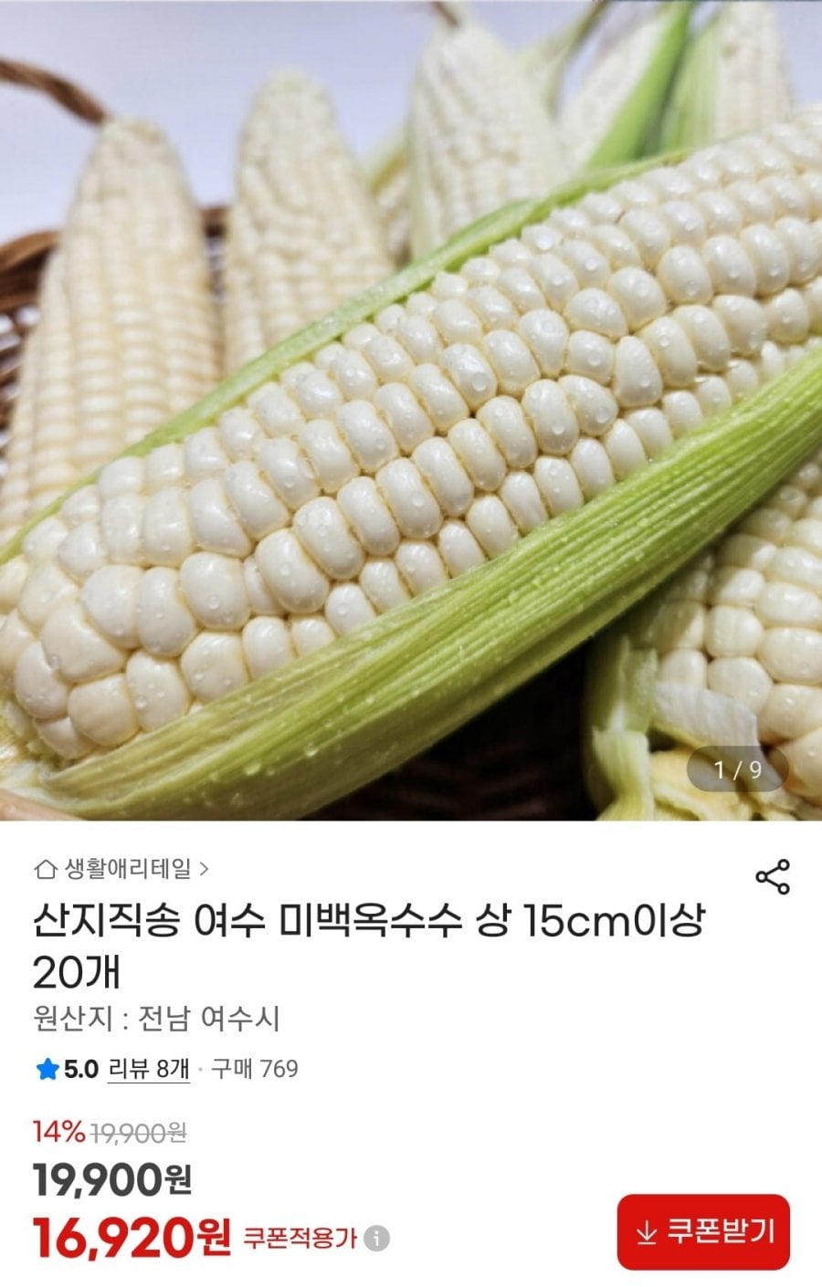 여수 미백옥수수 상 15cm 이상 20개