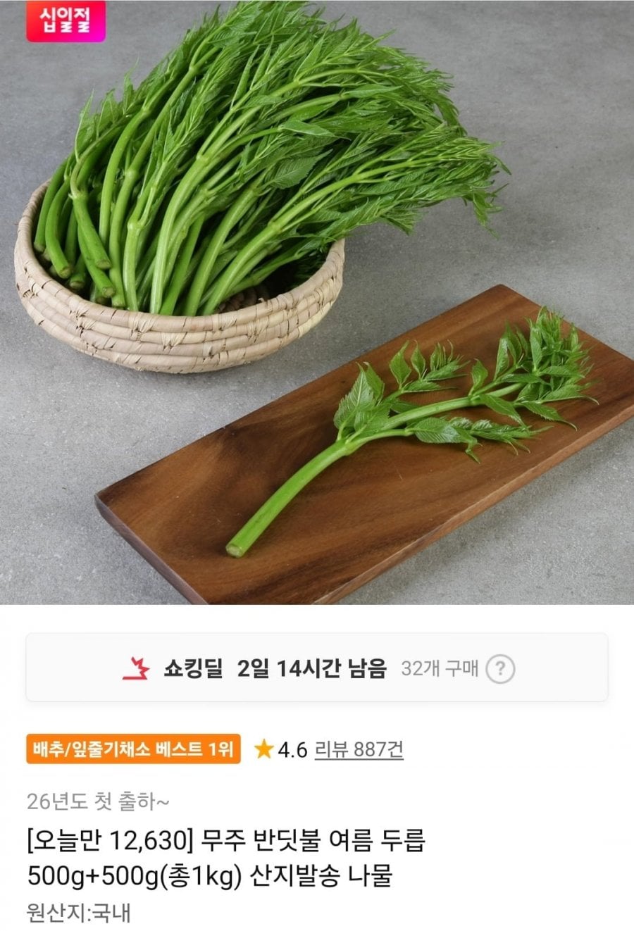 무주 반딧불 여름 두릅 500g+500g 총1kg