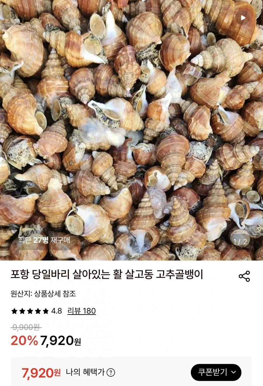 살아있는 활 살고동 고추골뱅이 1kg