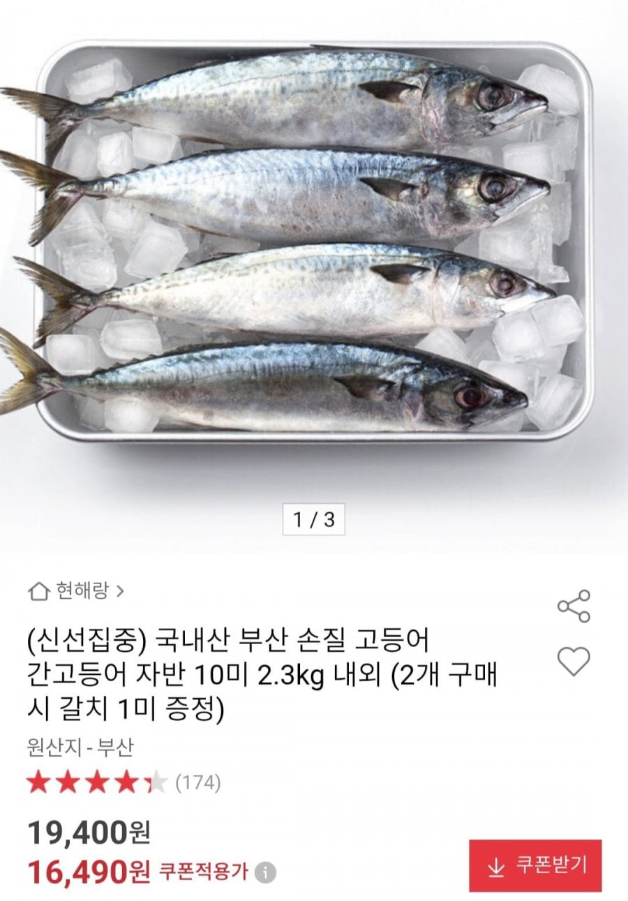 국내산 부산 손질 고등어 간고등어 자반 10미 2.3kg 내외