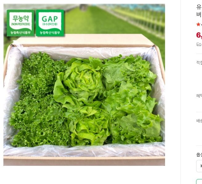 유러피안 샐러드 1kg