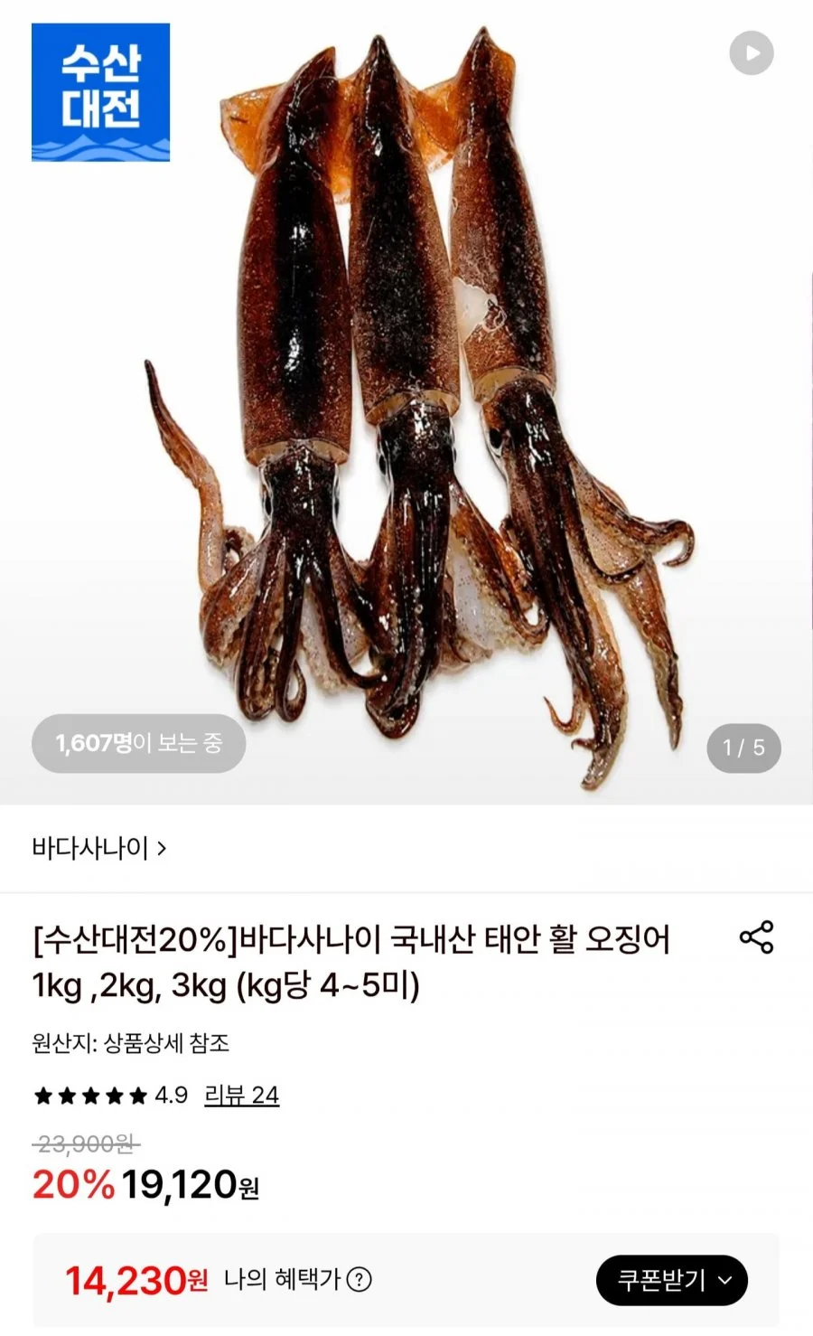 국내산 태안 활오징어 1kg 4~5미
