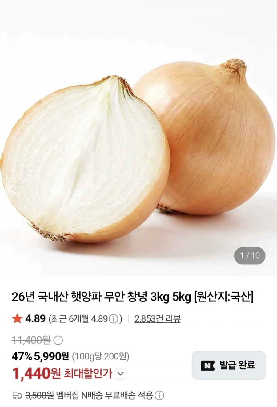국내산 햇양파 무안 창녕 1.5kg 중사이즈