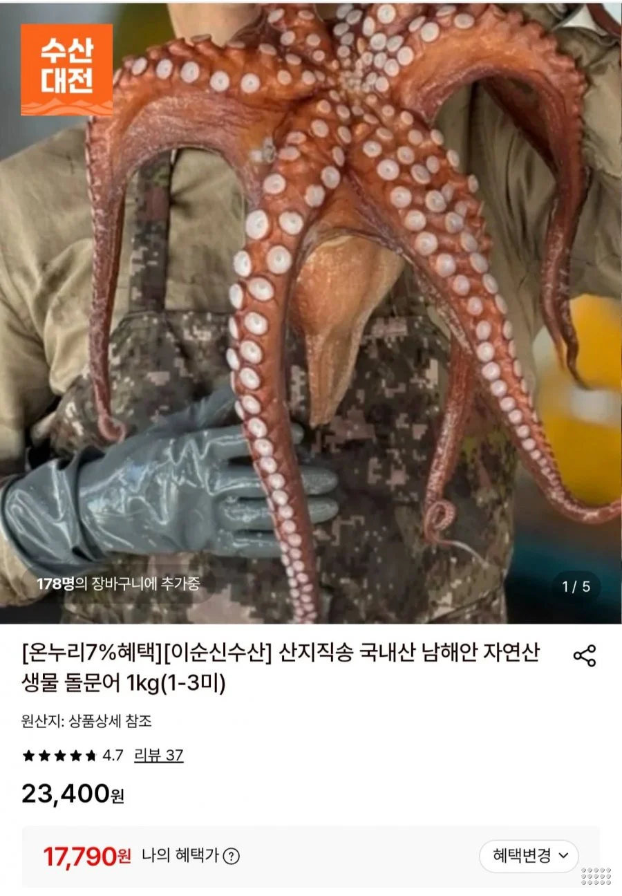 돌문어 1kg (1-3미)