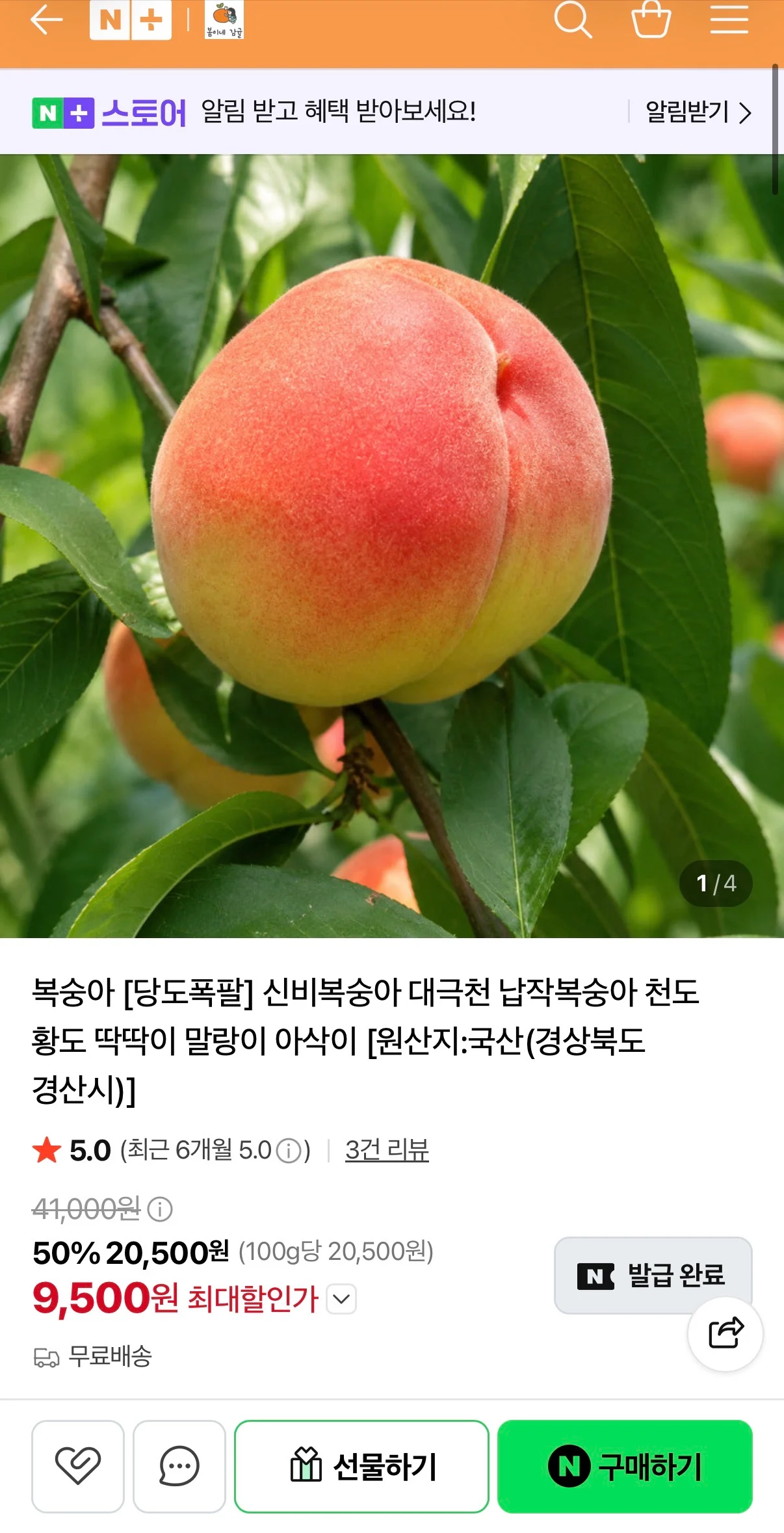 당일수확 딱딱이 대월 복숭아 4KG 소과