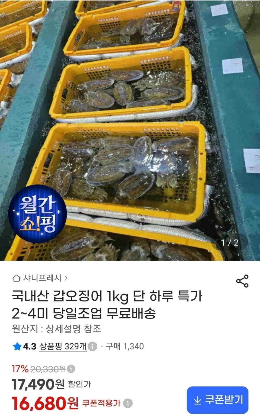 국내산 갑오징어 1kg 2~4미