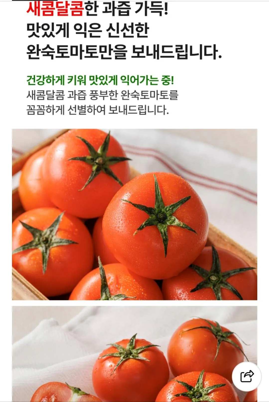 완숙토마토 쥬스용 2kg