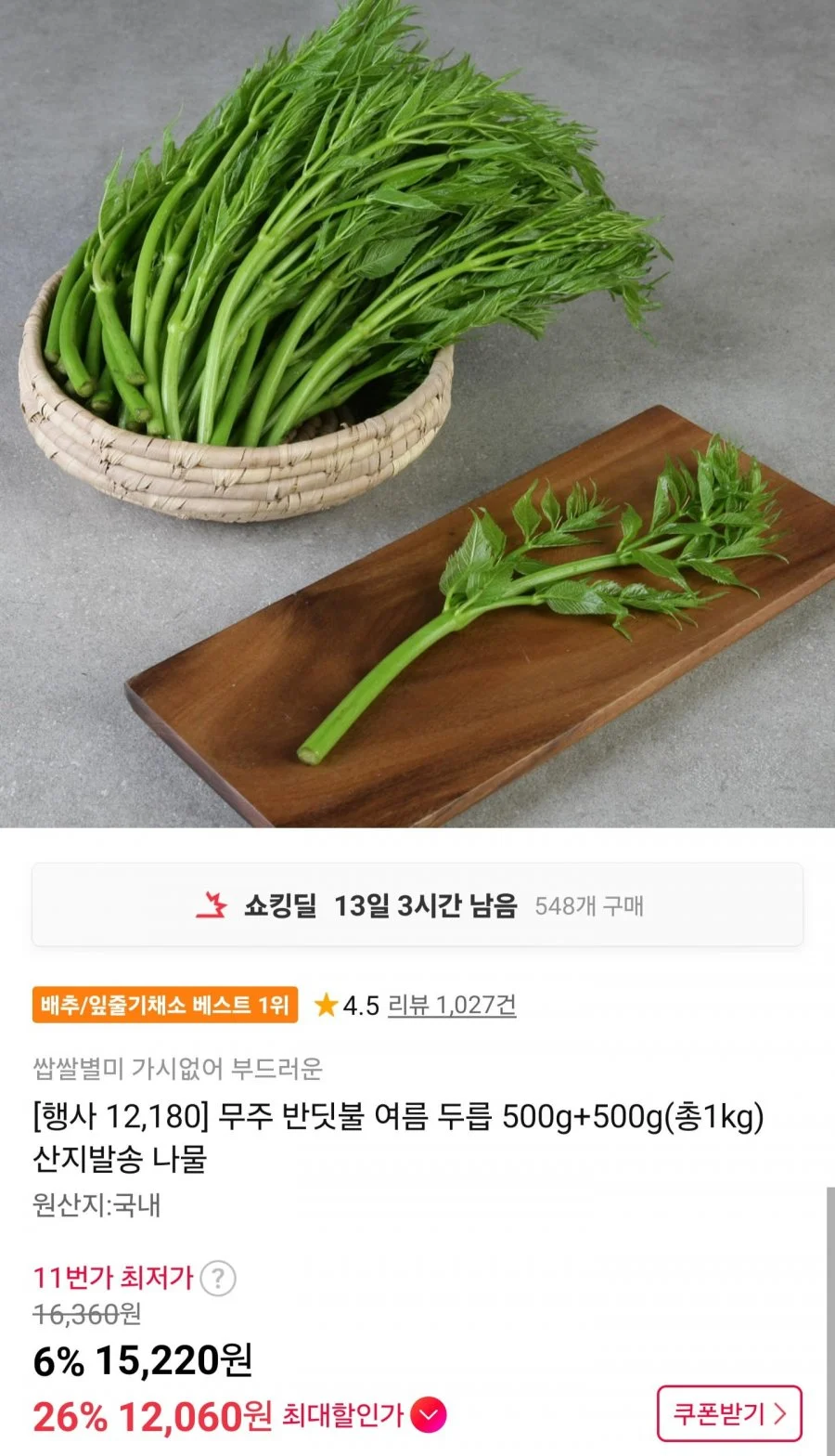 무주 반딧불 여름 두릅 500g+500g