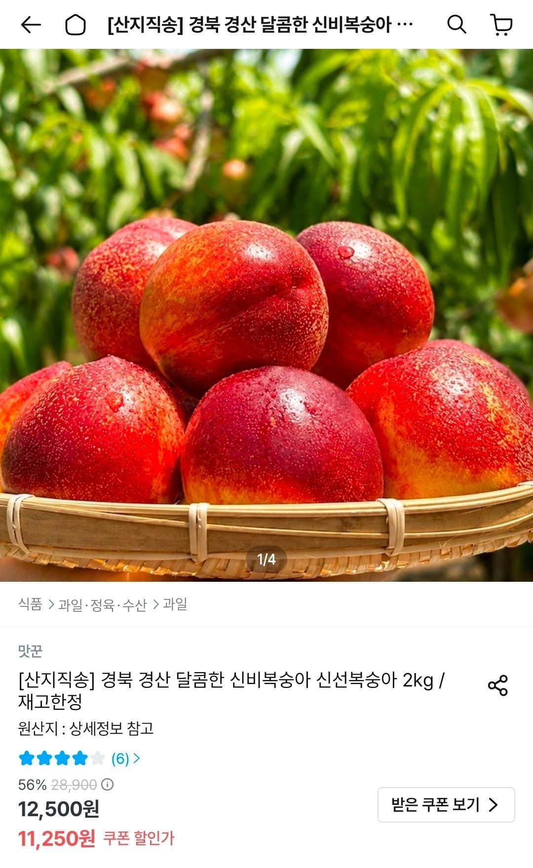 신비복숭아 2kg 로얄과