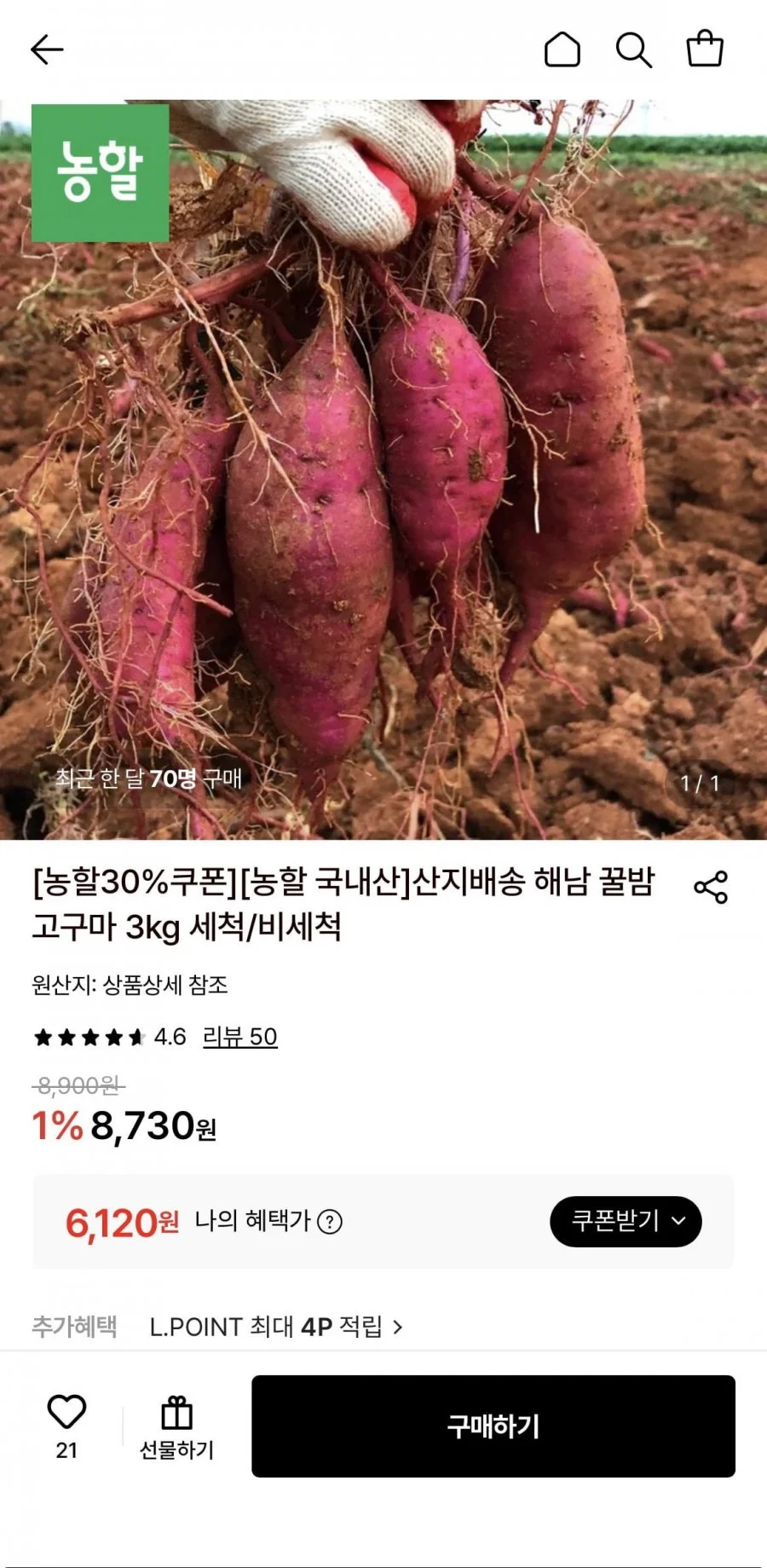 해남 꿀밤고구마 3kg 세척/비세척