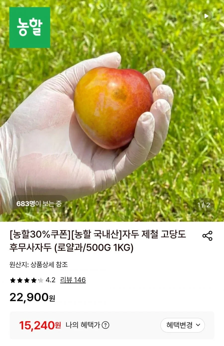 고당도 후무사 자두 로얄과 1kg
