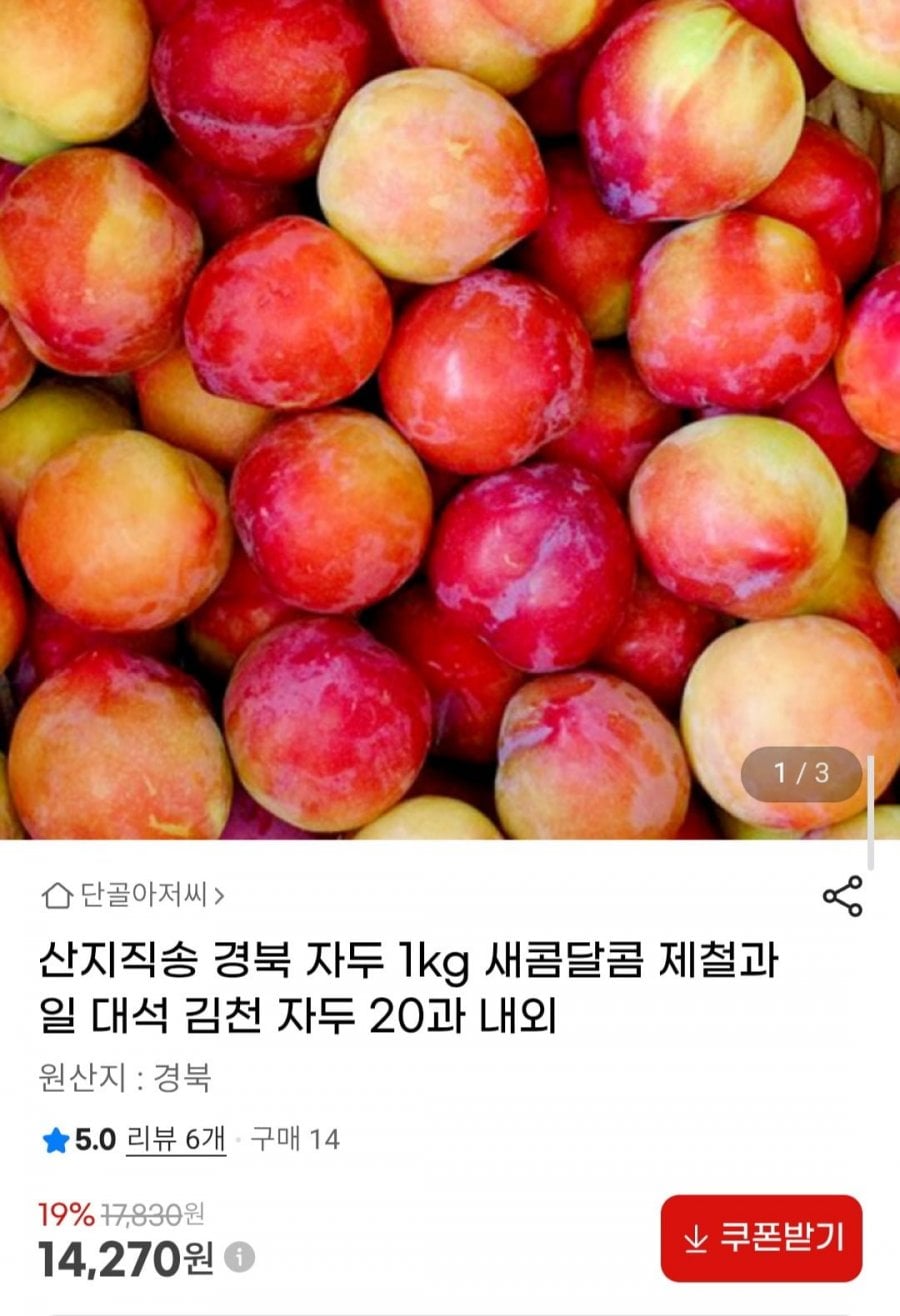 산지직송 경북 자두 1kg 20과 내외