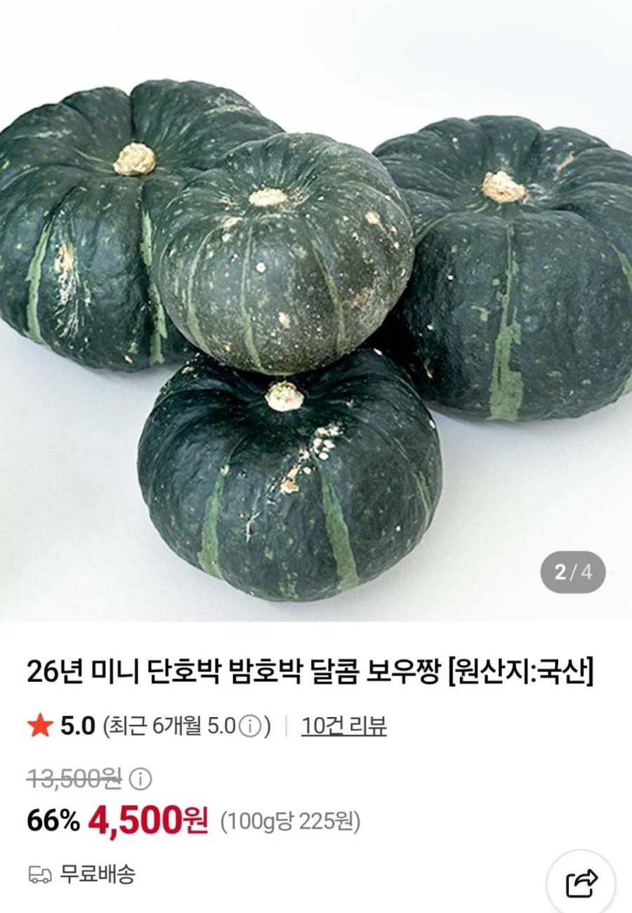 미니 단호박 보우짱 2kg 로얄과