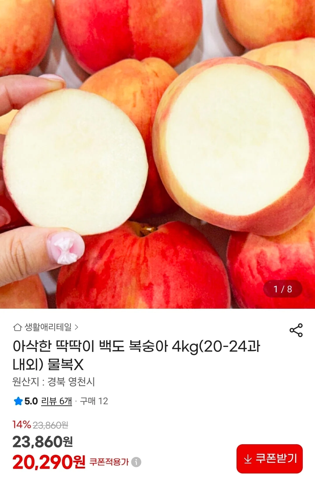 딱딱이 백도 복숭아 4kg 20~24과