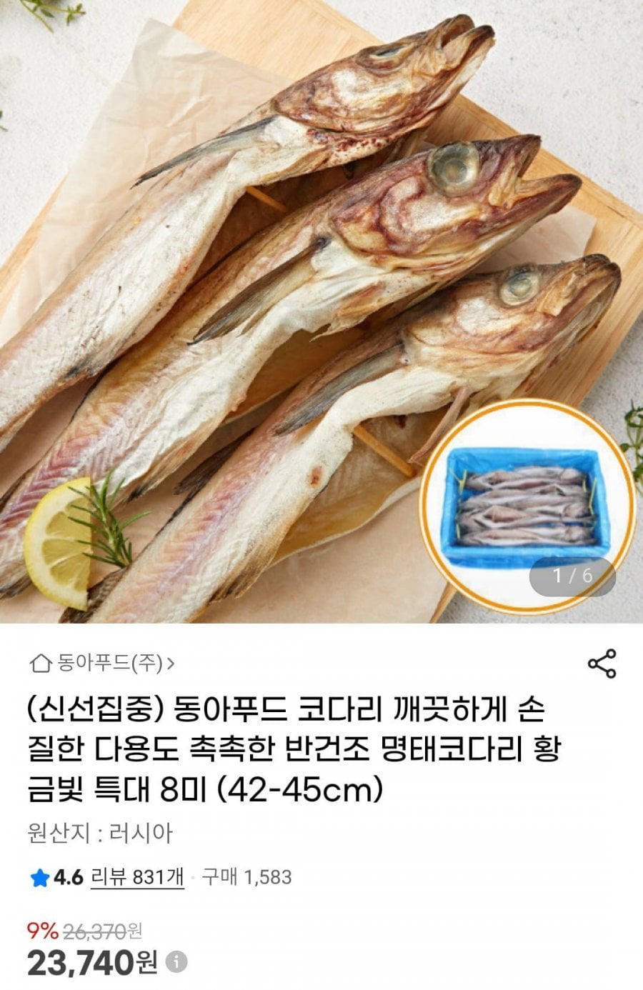 손질한 반건조 명태코다리 황금빛 특대 8미 (42-45cm)