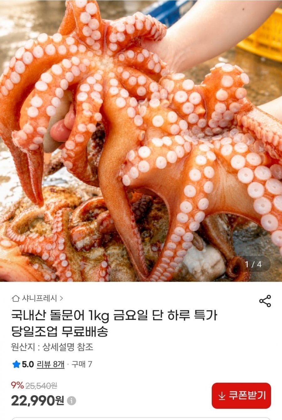 돌문어 1kg
