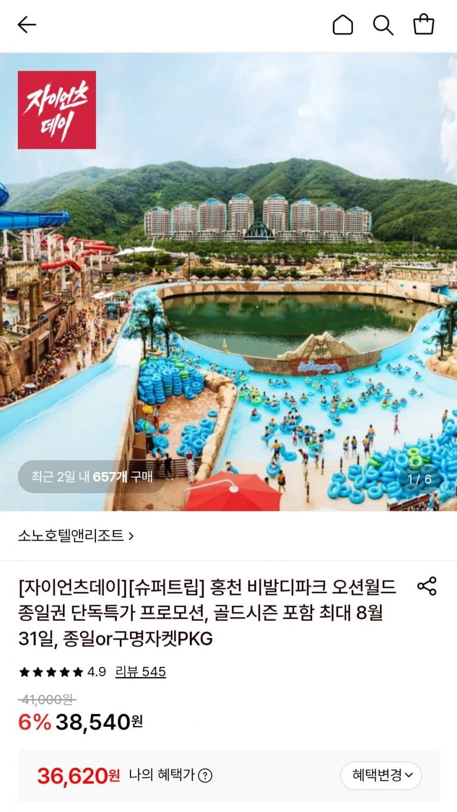 홍천 비발디파크 오션월드 하이시즌 종일권