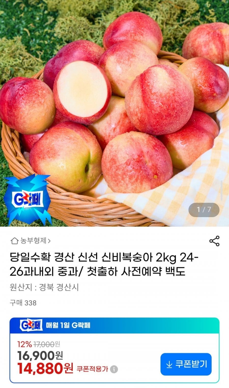 당일수확 경산 신선 신비복숭아 2kg 24-26과내외 중과