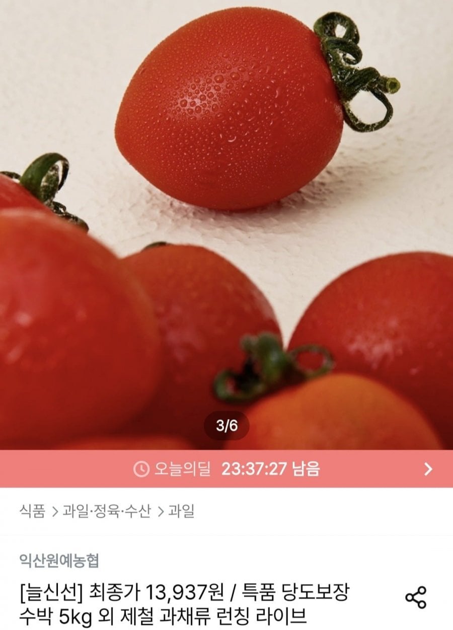 방울토마토 2kg 로얄과