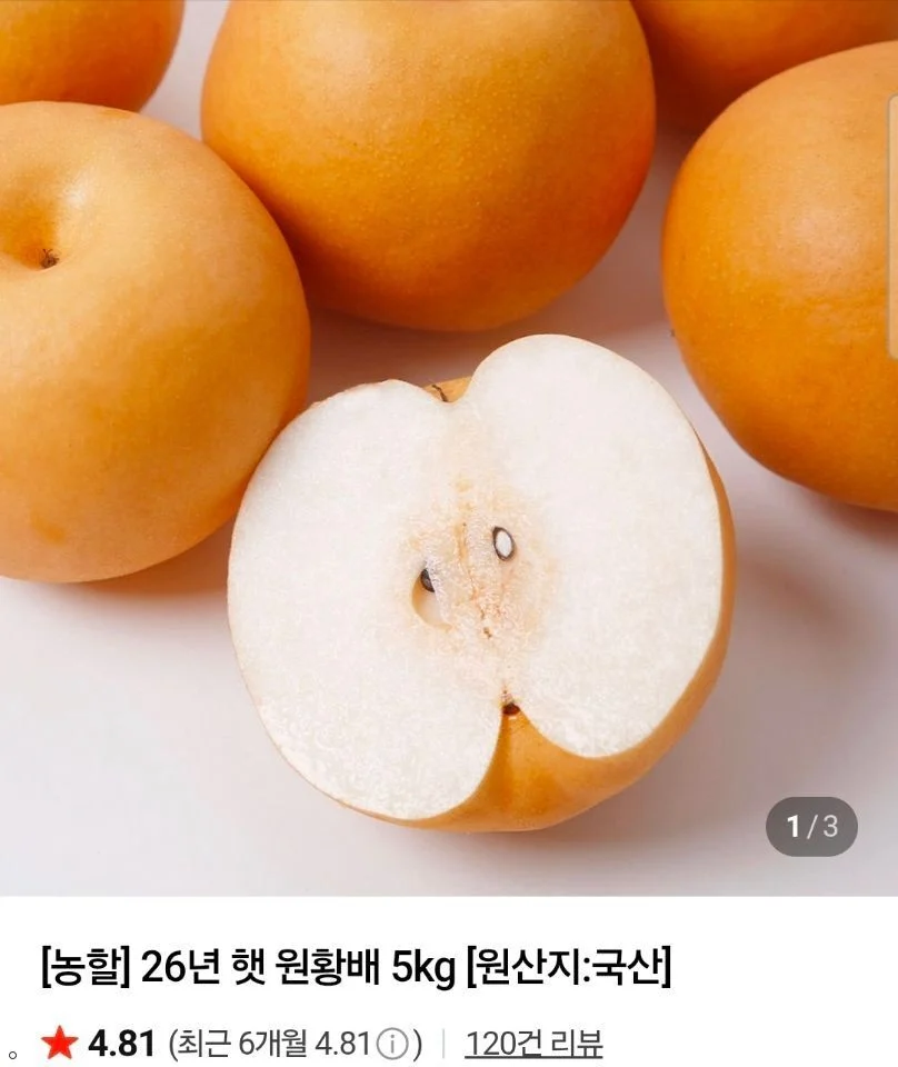 26년 갓 딴 나주햇배 3kg